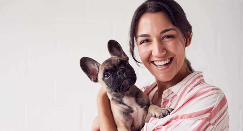 pet stuff online